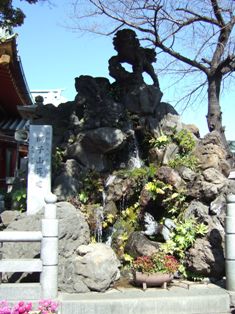 shishi.jpg