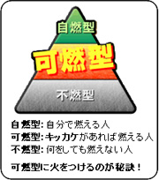 可燃型