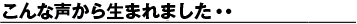 こんな声から生まれました