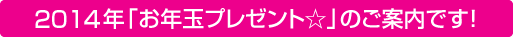 2011年お年玉プレゼントのご案内です