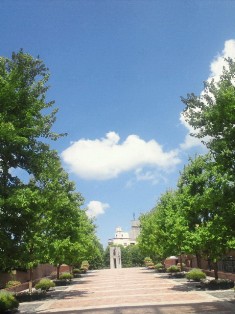 NEC_0274.JPG