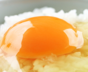 tamago.png